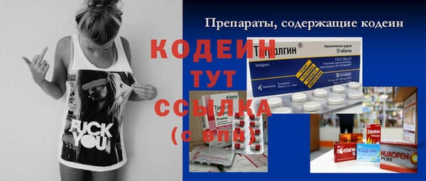 прущий лед Ладушкин