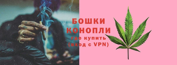 бутират Лагань