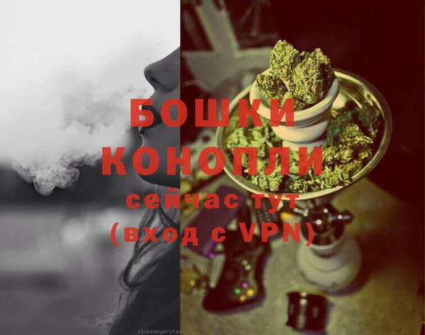 бошки Лабытнанги